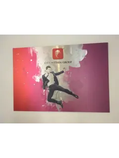 Butlerfinish (Aluverbundplatte gebürstet)
